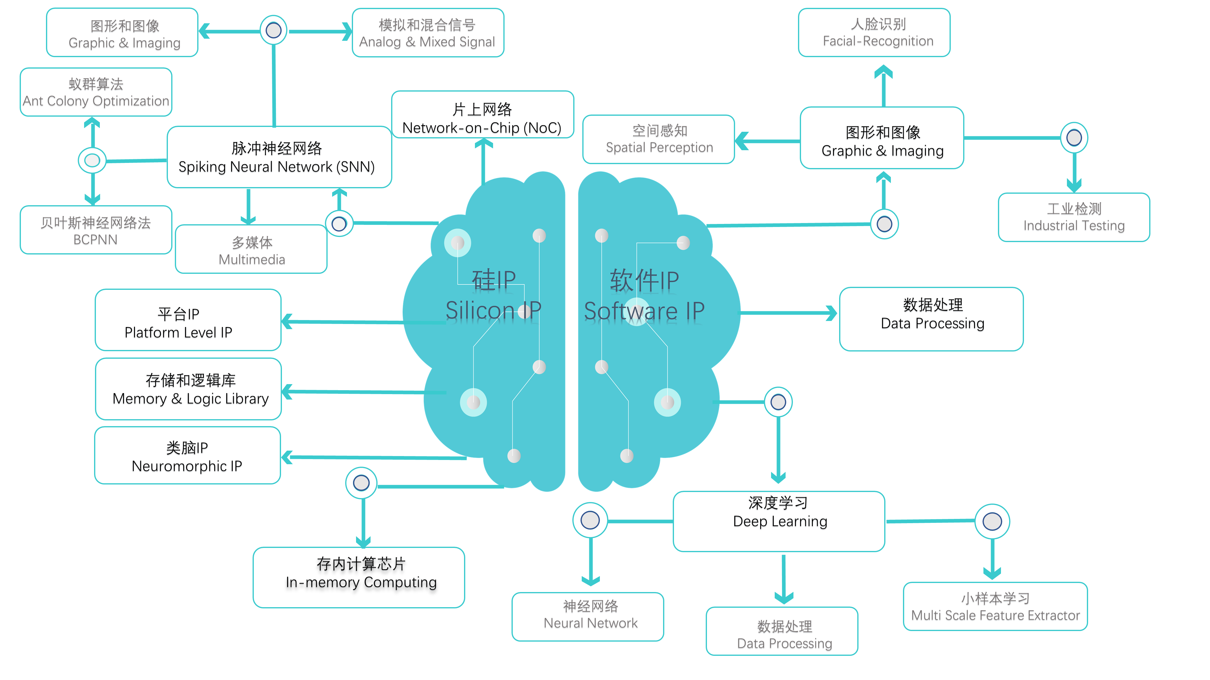 IP网站图片.png